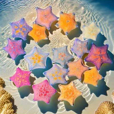 海星活宠海星套装派大星小朋友礼物海星饲养套餐桌面鱼缸小宠物