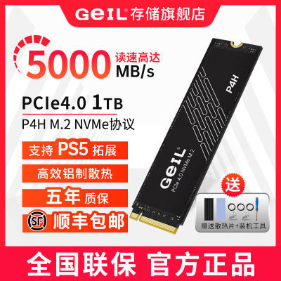 GeILP4H 1TB M.2 NVME4.0Эӿڹ̬SSDӲ̨ʽʼǱ395Ԫ