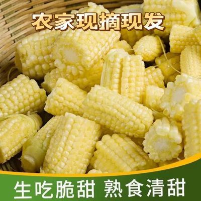 【农家】新鲜玉米笋玉米仔糯玉米带壳减脂减肥低脂当季即食一整箱