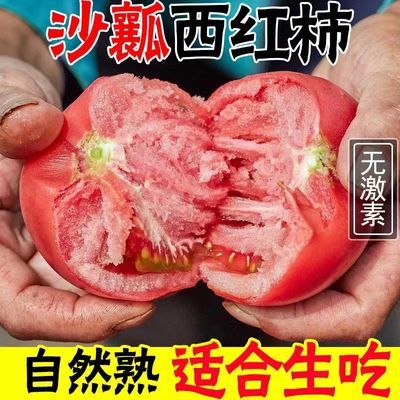 【10斤沙瓤自然熟西红柿】新鲜普罗旺斯水果生吃小番茄批发1斤