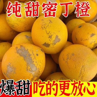 木瓜蜜丁橙子新鲜福建高山橙新鲜水果金丝柚子果冻橙非脐橙整箱