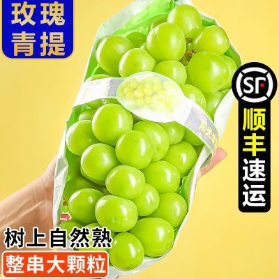䡿õ5ӡˮ17.8Ԫ