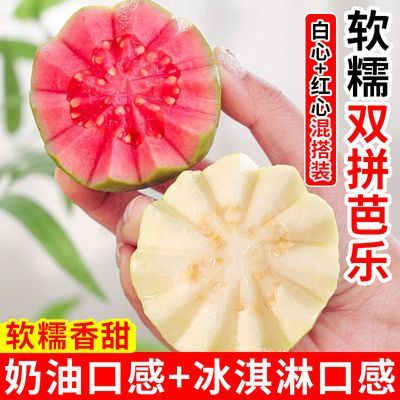 广西双拼红白心奶油冰淇淋芭乐软心软糯新鲜番石榴脆甜鸡屎果批发