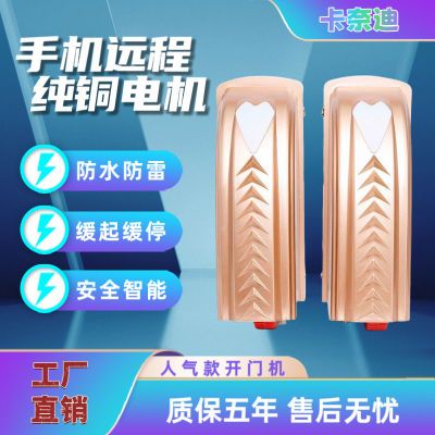 开门八字电动遥控双开自动平开门别墅庭院大门电机智能厂家开门机