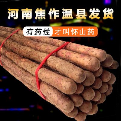 温县铁棍山药正宗河南焦作原产地直发怀山药铁杆淮山药新鲜蔬菜