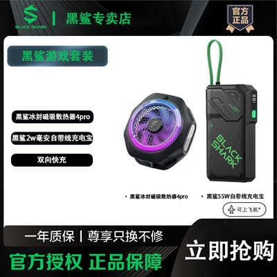 ڲ55WԴ߳籦20000+4Proֻɢֻ367Ԫ
