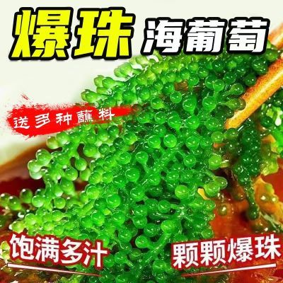 新鲜海葡萄即食长寿菜海带裙带菜海藻菜海白菜绿色鱼子酱100g