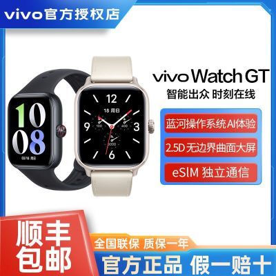 ڲvivo Watch GT ֱ402Ԫ