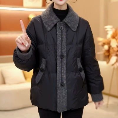 ڲ2025¿ʱзƴɱůӺݶ̿޷ 178.99Ԫ