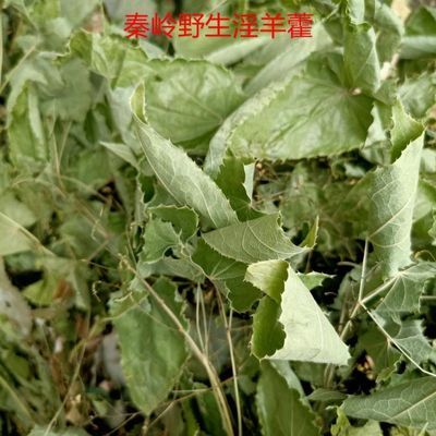 秦岭正宗淫羊藿中药野生男性精选特级淫羊藿叶批发泡茶泡酒包邮