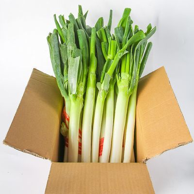 ڲɽСɽʴƷմʳɽȥƤҶ 9.6Ԫ