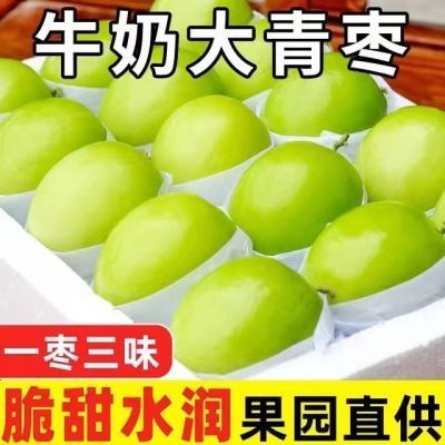 【脆甜】台湾牛奶大青枣脆枣子福建贵妃蜜枣新鲜水果应季现摘批发