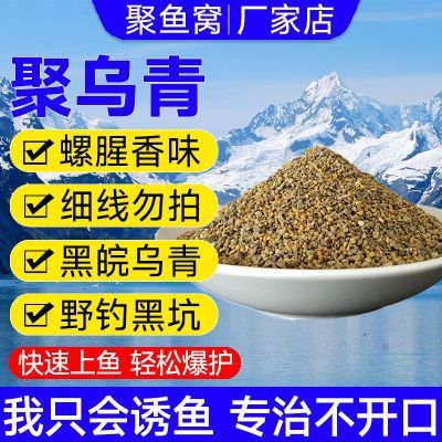 青鱼饵料聚乌青鱼黑坑黑鲩大物钓鱼饵料手竿钓饵搓饵螺肉蛋白腥味