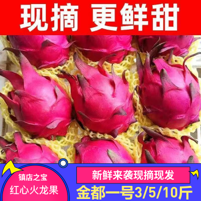 京都一号正宗红心火龙果新鲜当季热带水果美味飞跃千里整箱包邮