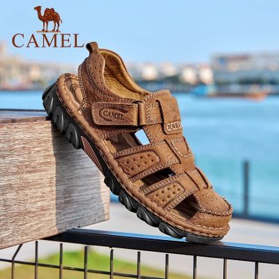 ڲCamel/Ьļ¿Ьаͷɳ̲Ьƽ׻Ьӳ225Ԫ