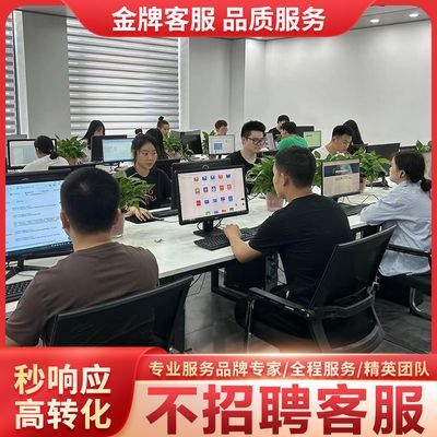 人工客服外包保数据过年客服活动客服金牌客服托管销售型客服