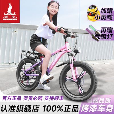 ڲѡϺ˶ͯгŮɽر20кѧר 308Ԫ