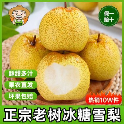 ���ڱ���ѩ�� ѩ���� �и����� ��������ˮ�� 5/8.5�� 13.8Ԫ