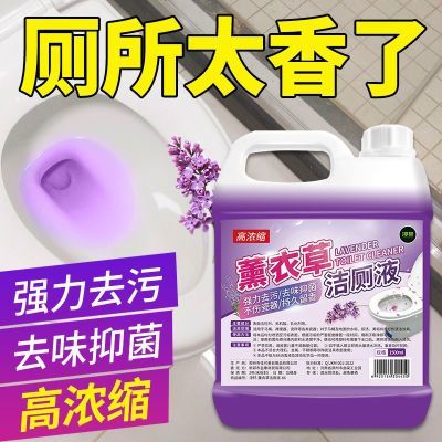 强力除臭去污除垢卫生间清香厕液薰衣草厕灵厕所马桶清洁剂神器优惠券