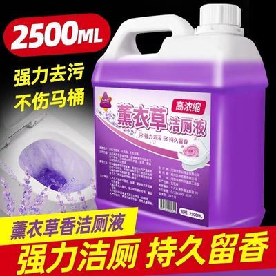 强力去污卫生间神器厕所马桶除臭除垢清洁剂厕灵薰衣草花香厕液优惠券