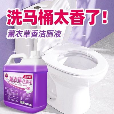 清洁剂厕灵促销中薰衣草厕液强力去污卫生间神器厕所马桶除臭除垢优惠券