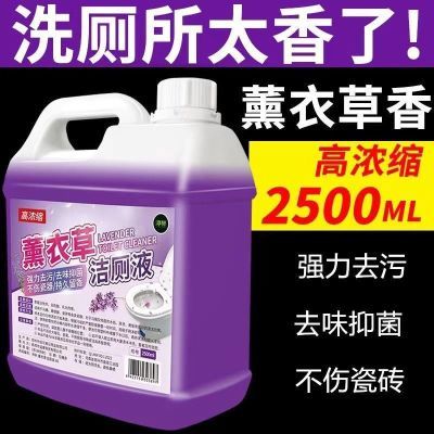 强力去污卫生间神器厕所马桶除臭除垢清洁剂厕灵薰衣草花香厕液优惠券