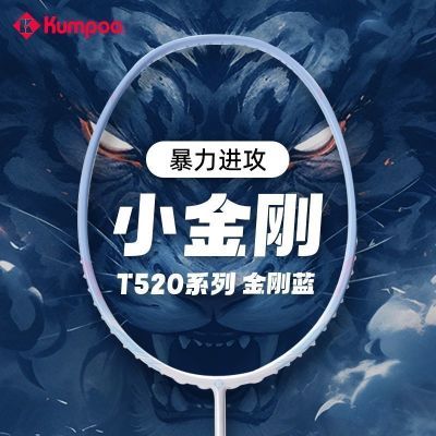 ���ڲ�������޹�硿��Ʒ��ë����Ѭ��T520��ǿ��С���ȫ̼����ά����ѵ������ 116Ԫ