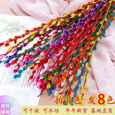 八彩招财银柳干花真花鲜枝耐寒年宵花花卉室内客厅摆放装饰花七彩