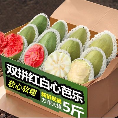 广西奶油红心白心双拼芭乐软心软糯新鲜孕妇水果番石榴硬脆甜批发