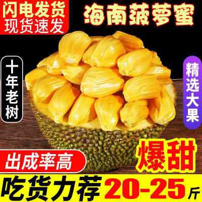 海南现摘 新鲜树黄肉菠萝蜜1个整装 当季水果 果肉饱满 热带水果