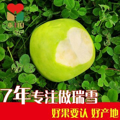 正品瑞雪陕西青苹果新鲜纯甜水果礼盒脆甜非洛川庆阳平果日本王林