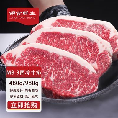ڲʳ MB3ţ480g ԭѩ˹ţտʳ79Ԫ