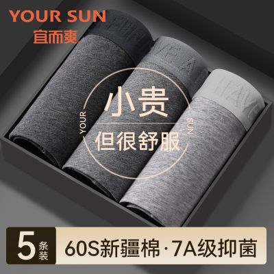 ڲ˶ˬʿڿ̿㿹־ƽǴ˶Ľ 26.9Ԫ