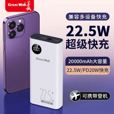 ڲǳ籦2000022.5W˫PD20ֻͨñЯƶԴ 16.7Ԫ