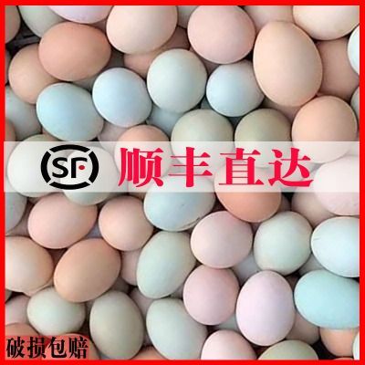顺丰上门批发正宗九华山散养绿壳鸡蛋整箱热卖新鲜虫草蛋精选混装