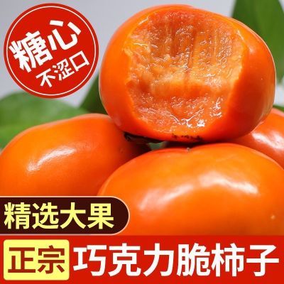 巧克力脆甜柿子现摘整箱包邮大果水果新鲜当季黄硬甜脆批发柿子甜优惠商品图片