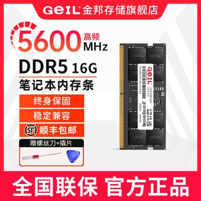 ڲGeILǧ16G5600 DDR5ʼǱڴϷ羺ڴȫԭװ 237.9Ԫ