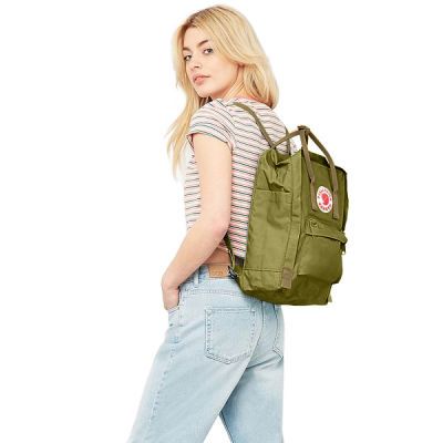 ڲFjallraven˫kankenŮб˶23510 16L 539Ԫ