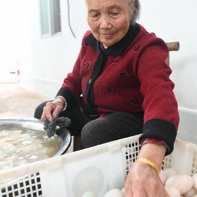 清真农家散养土鹅蛋现捡现发纯天然正宗一整箱12个
