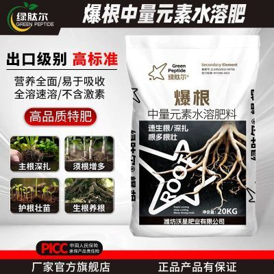 ���ڲ�������������������Ԫ��ˮ�ܷ��߲�ˮ����ʩ������׳���л��ʸ����    68.9Ԫ