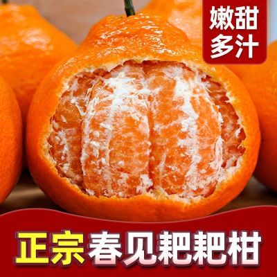 【酸甜可口】现摘正宗四川皮薄甜柑橘整箱批发桔子春见耙耙柑薄皮