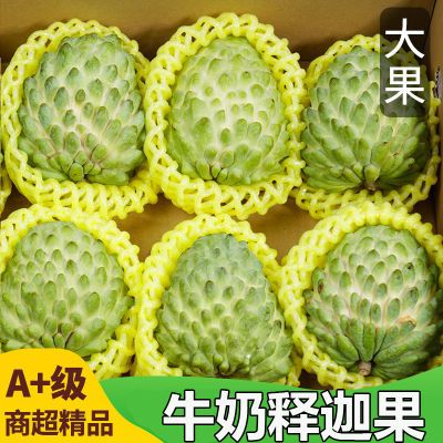 【恬小鲜】广西牛奶释迦果现摘凤梨释迦水果番荔枝佛头果摩尼果