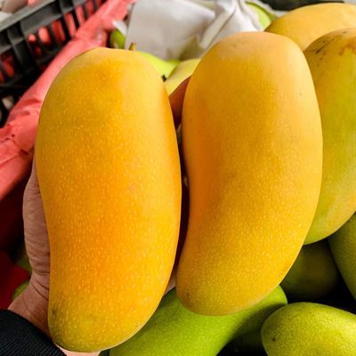 ںϽâ4.9װ250g+ˮˮâƤâ ʵ19.8Ԫ