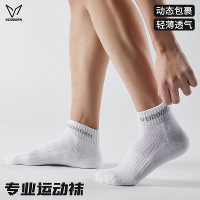 ڲ˫װά˶ʿ͸ܲ࿹Ͳɫ21.8Ԫ