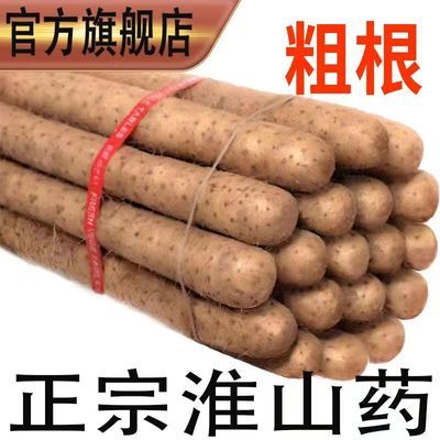 山药铁棍山药粉糯淮山河南焦作温县垆土怀山药粗款新鲜蔬菜山药