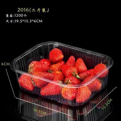 特厚2斤无盖长方形一次性水果盒透明塑料果蔬托盘果切草莓1200只优惠商品图片