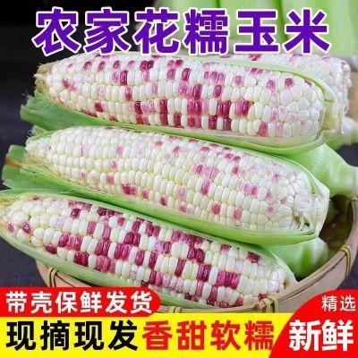 ڲ֮ũժŴŴ״Ƥ2.8-9ʴƤŴ14.9Ԫ