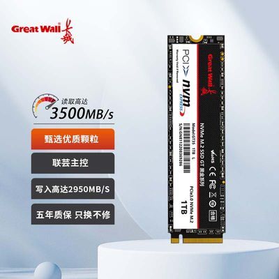 GT35 1TB 2TB M.2 PCIE 3.0 ̬Ӳ̱ʼǱSSD̨ʽ NVME349Ԫ