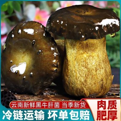 ڲ˳ᷢʺţξǸɻʳþ1 39.8Ԫ