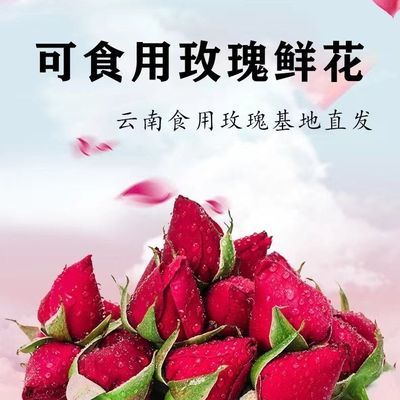 云南顺丰直发墨红玫瑰花苞新鲜食用可做玫瑰醋酱酵素【5天内发货